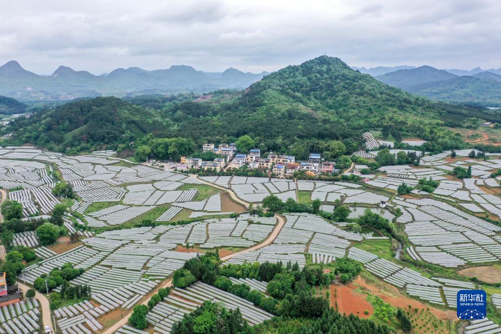這是廣西桂林市全州縣才灣鎮毛竹山村（4月25日攝，無人機照片）。新華社記者 曹祎銘 攝
